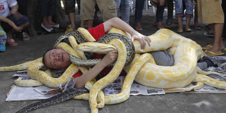 china eats snakes