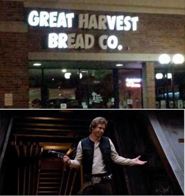 great vest bro - Great Harvest Bread Co.