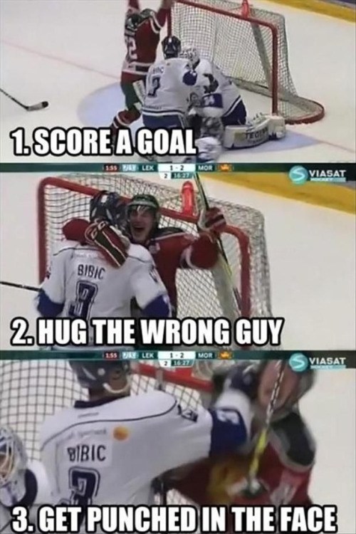 hockey memes funny - 1. Score A Goal LE1 2 Mor Viasat Bibic 2 Hug The Wrong Guy 255 LEK12MOR 120 Viasat En Bibic Bibic 3. Get Punched In The Face