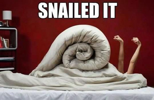 snailed it meme - Snailed It