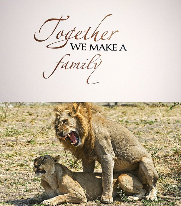 animals doing - logether We Make A tamil