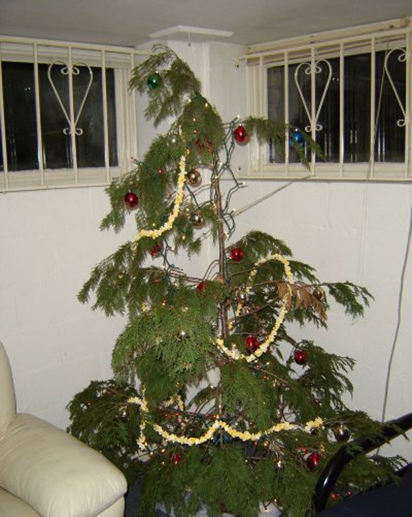 shit christmas tree