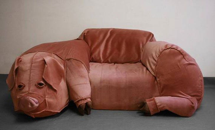 pig couch
