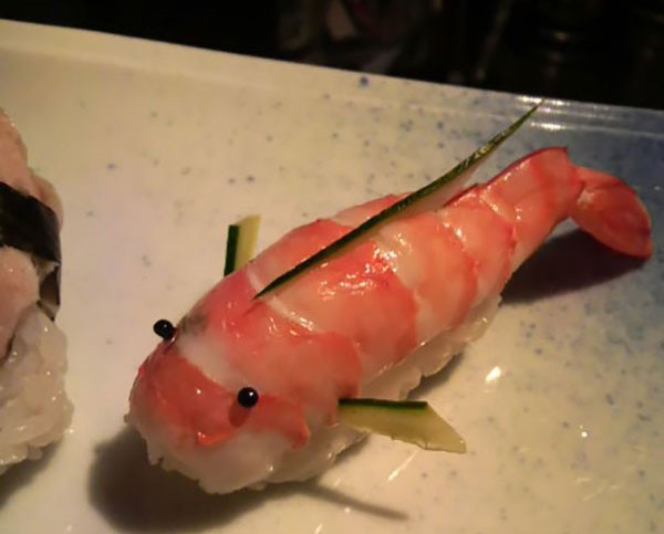sushi a fish