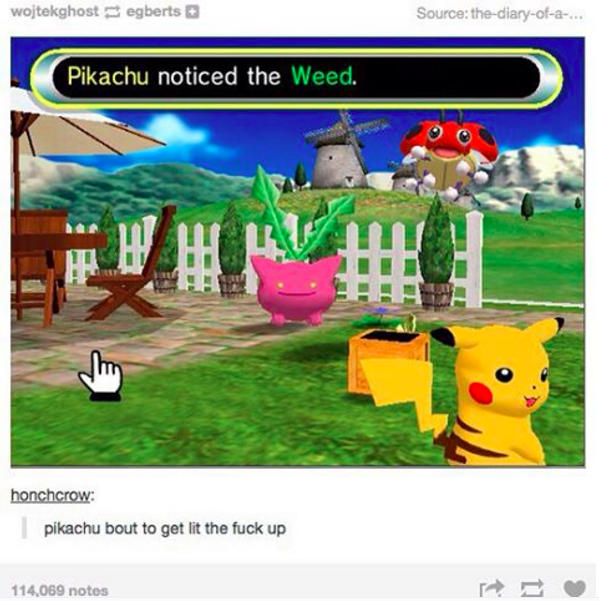 pikachu bout to get lit the fuck up - wojtekghost egberts Source thediaryofa... Pikachu noticed the Weed. honchcrow pikachu bout to get lit the fuck up 114,069 notes