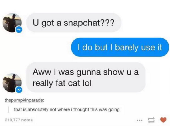 communication - U got a snapchat??? I do but I barely use it Aww i was gunna show u a really fat cat lol thepumpkinparade that is absolutely not where i thought this was going 210,777 notes