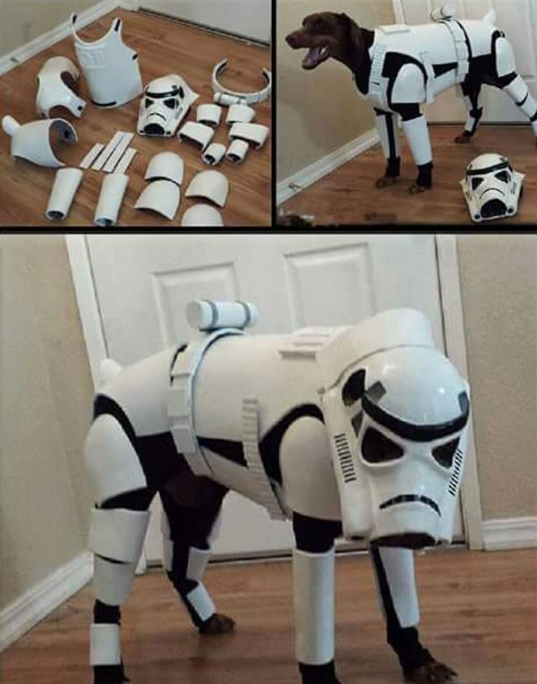 dog stormtrooper costume - Juni