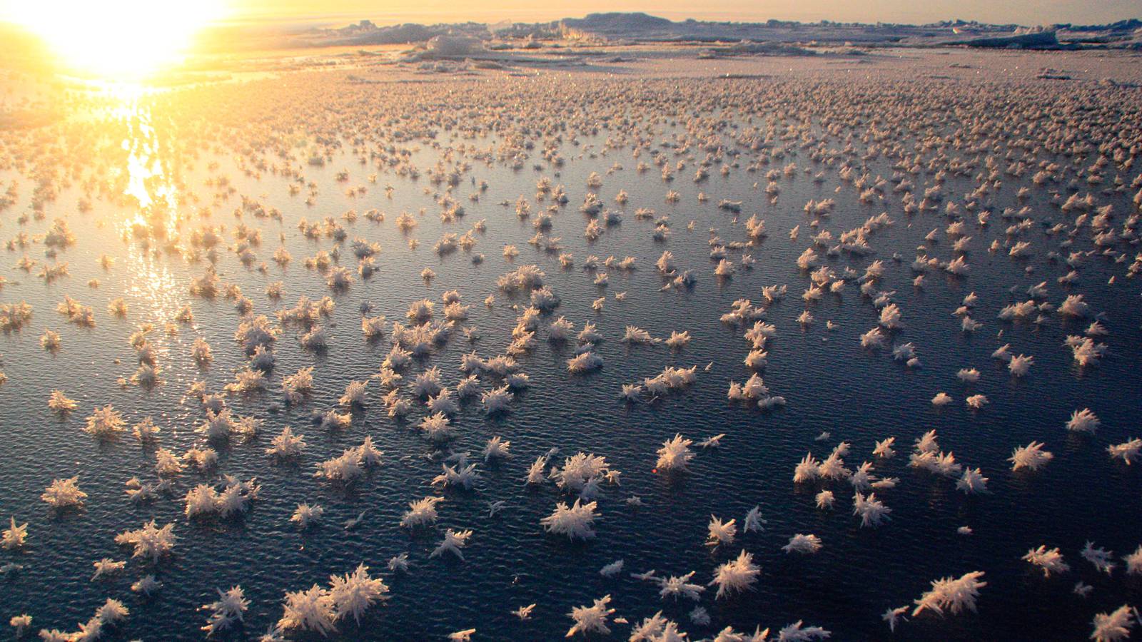 ICE CRYSTALS DEVELOP ON WATERS SURFACE