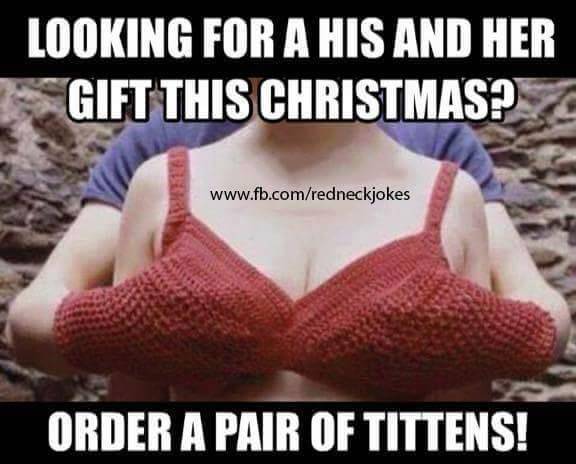 order a pair of tittens - Looking For A His And Her Gift This Christmas? Order A Pair Of Tittens!