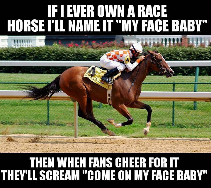 horse racing memes funny - If I Ever Own A Race Horse I'Ll Name It "My Face Baby" Then When Fans Cheer For It They'Ll Scream "Come On My Face Baby"
