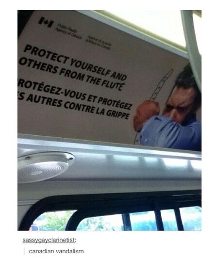 tumblr - protect yourself from the flute - Protect Yourself And Others From The Flute RotgezVous Et Protgez S Autres Contre La Grippe sassygayclarinetist canadian vandalism