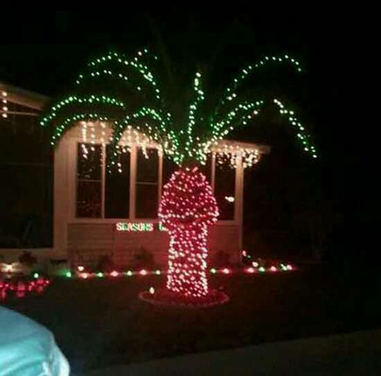 decorated palm tree