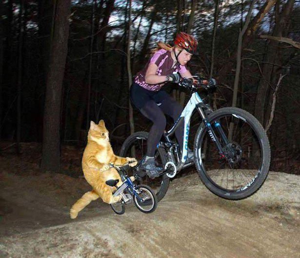photoshopped mountain biking