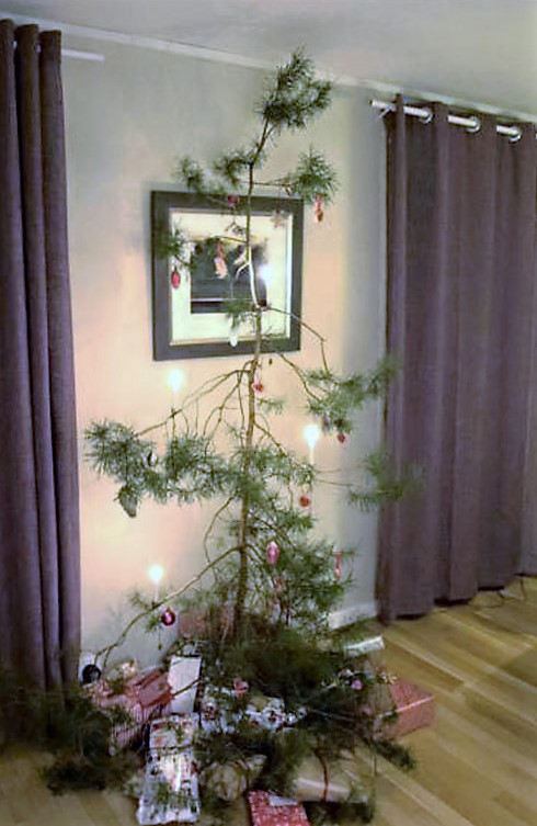 39 Things You Just Don't See Every Christmas