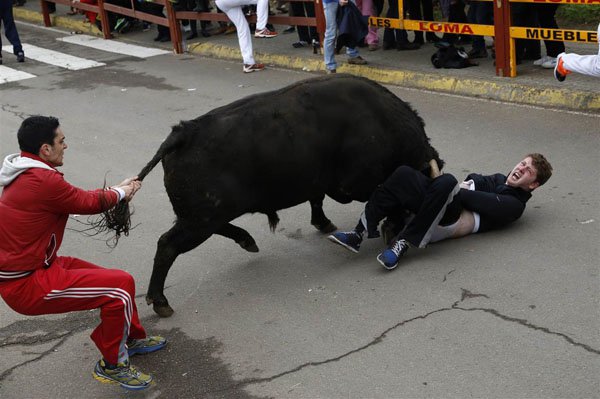 random pic spanish bull
