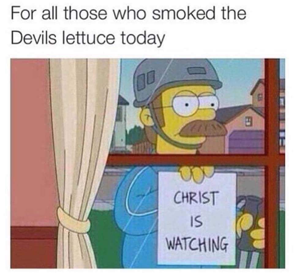random pic devils lettuce meme - For all those who smoked the Devils lettuce today Christ Is Watching