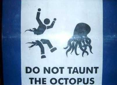 do not taunt the octopus - Do Not Taunt The Octopus