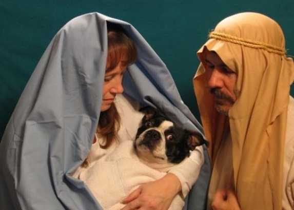 funny family portrait with dog