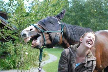 horse and girl laughing