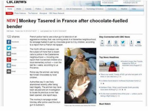 web page - cews . & Technology Cone W e Video The Crc New New | Monkey Tasered in France after chocolatefuelled bender Stay Connected with Cbc News 122 f French police had to use a stun gun to take o n aggressive monkey that was running amokina Marte hood
