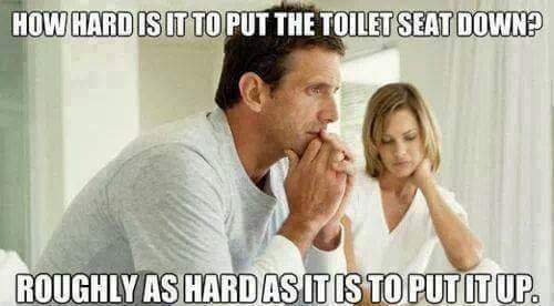 toilet seat down meme - How Hard Is It To Put The Toilet Seat Downp Roughly As Hardasitis To Putit Up.
