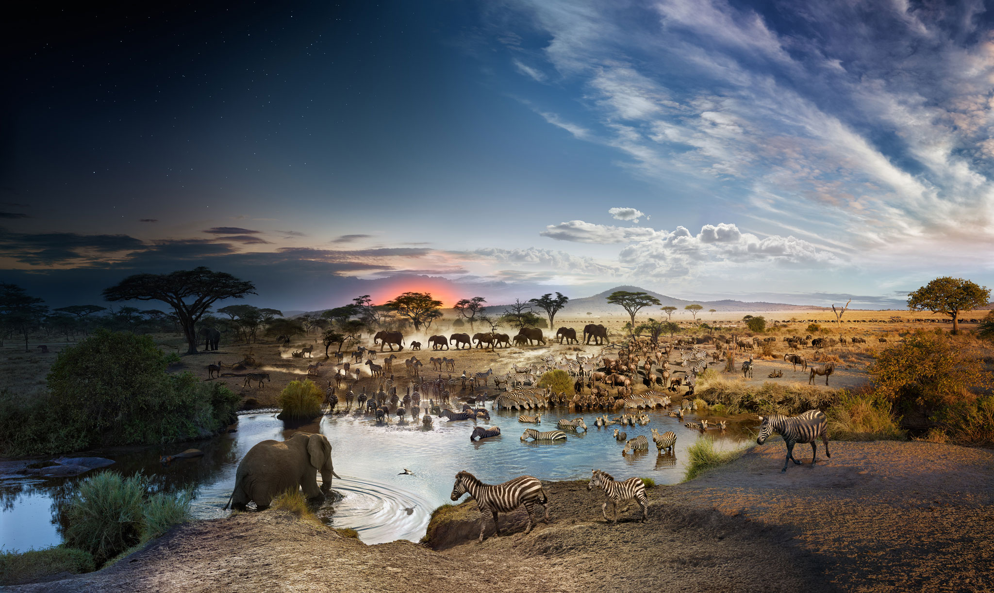 This Photo Was Shot Over the Course of 26 Hours at an African Watering Hole