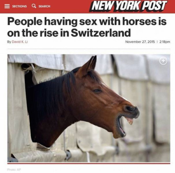 horse sex - Sections Q Search New York Post People having sex with horses is on the rise in Switzerland By David Ku pm