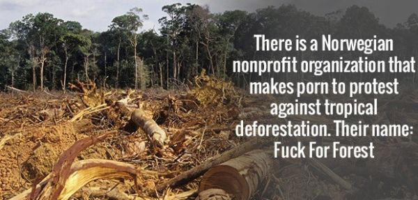 illegal logging - There is a Norwegian nonprofit organization that makes porn to protest against tropical deforestation. Their name Fuck For Forest