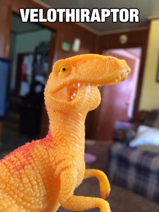 dinosaur toy funny - Velothiraptor