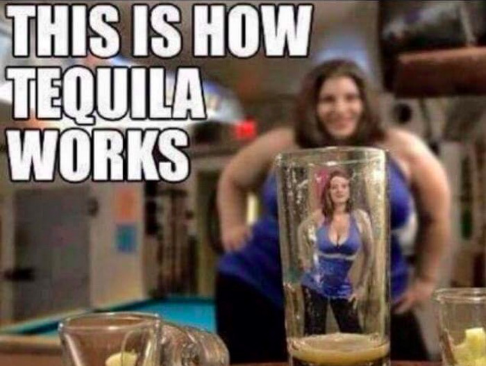 tequila works - This Is How Tequila Works