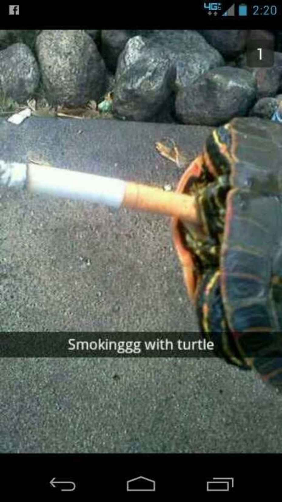 snapchat cringe Snapchat - 46. Smokinggg with turtle
