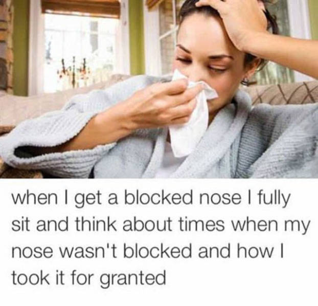 blocked nose meme - when I get a blocked nose I fully sit and think about times when my nose wasn't blocked and how | took it for granted