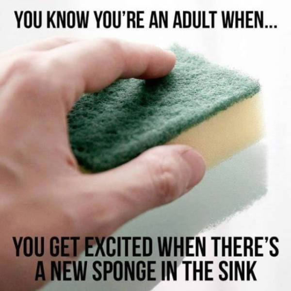 you an adult - You Know You'Re An Adult When... You Get Excited When There'S A New Sponge In The Sink