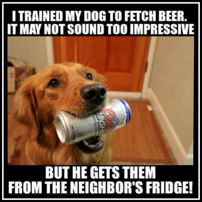 dog man's best friend meme - I Trained My Dog To Fetch Beer. It May Not Sound Too Impressive But He Gets Them From The Neighbor'S Fridge!