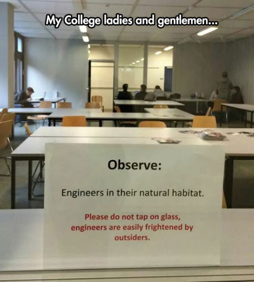 please do not tap on the glass - My College ladies and gentlemen... Observe Engineers in their natural habitat. Please do not tap on glass, engineers are easily frightened by outsiders.