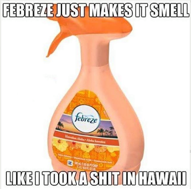 febreze hawaii meme - Febreze Just Makes It Smell febreze I Took A Shit In Hawaii