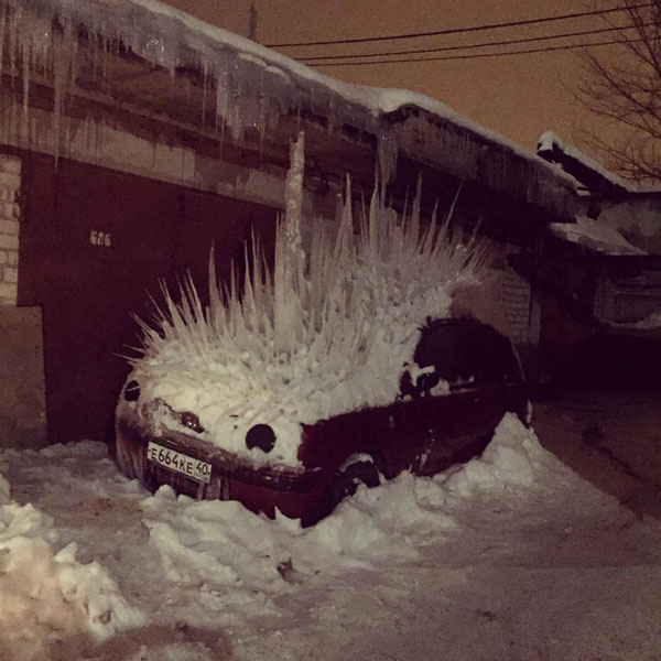 porcupine car