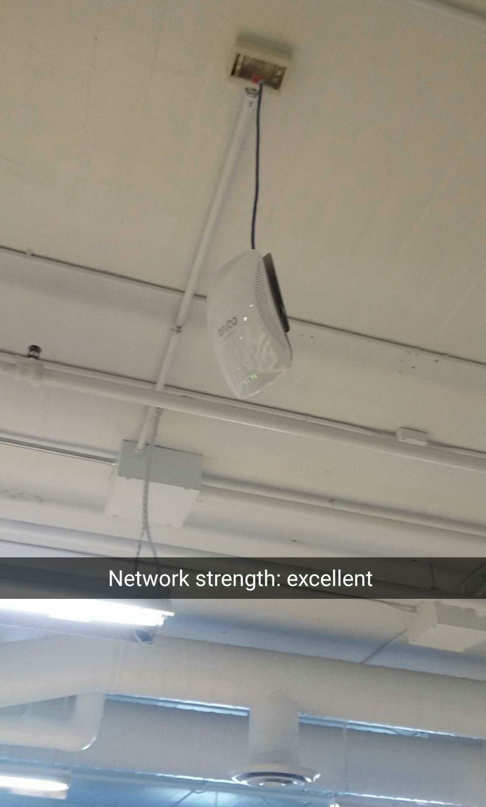ceiling - Network strength excellent