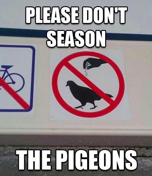 traffic sign - Please Don'T Season The Pigeons