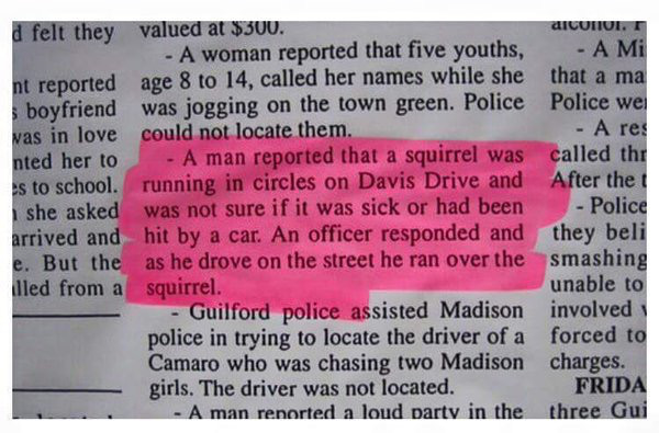 quotes - d felt they valued at $300. A woman reported that five youths, nt reported age 8 to 14, called her names while she boyfriend was jogging on the town green. Police vas in love could not locate them. A man reported that a squirrel was s to school. 