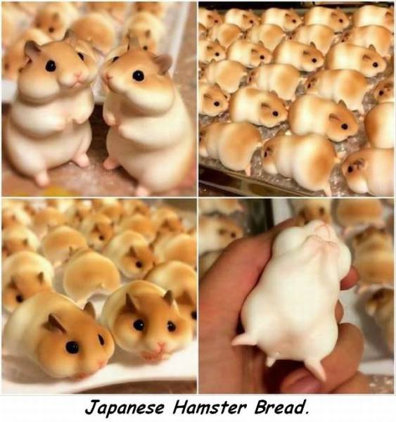 japanese hamster buns - Japanese Hamster Bread.