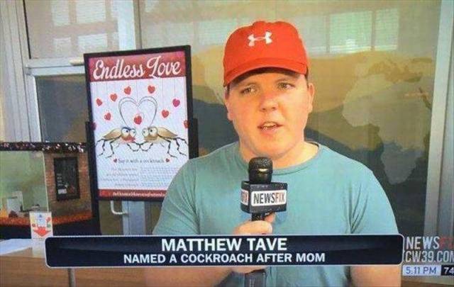 Endless Love Newse Matthew Tave Named A Cockroach After Mom News ICW39.Com Z
