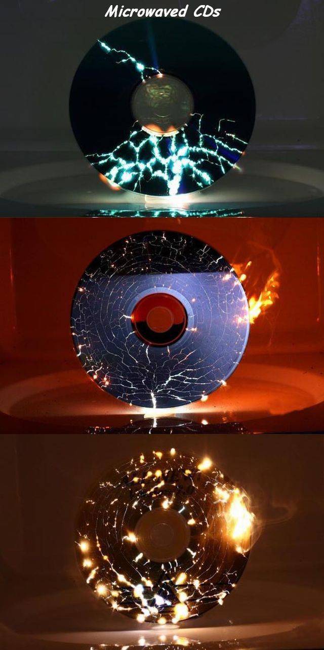 cd in microwave - Microwaved CDs