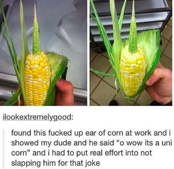 tumblr - unicorn corn pun - ilookextremelygood found this fucked up ear of corn at work and i showed my dude and he said "o wow its a uni corn" and i had to put real effort into not slapping him for that joke