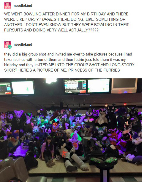 tumblr - funny stories furry - needlekind We Went Bowling After Dinner For My Birthday And There Were Forty Furries There Doing, , Something Or Another I Don'T Even Know But They Were Bowling In Their Fursuits And Doing Very Well Actually????? needlekind 