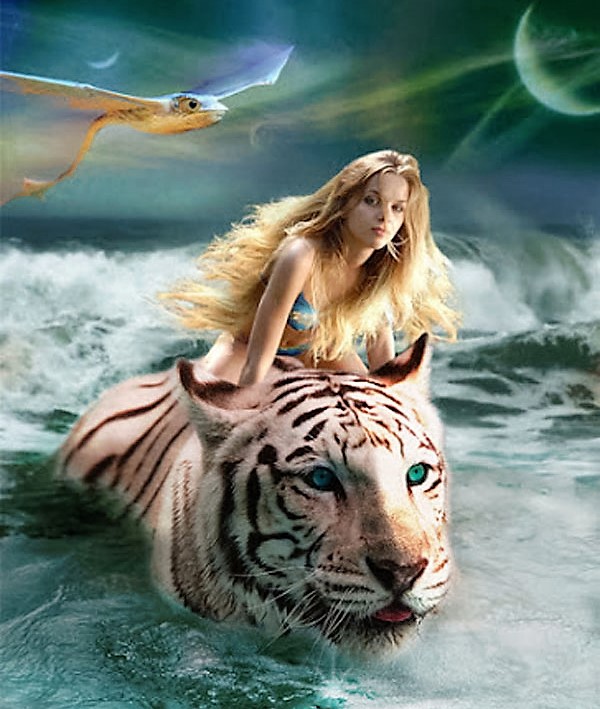 tiger photoshop