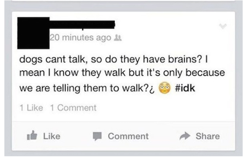 awkward facebook posts - 20 minutes ago dogs cant talk, so do they have brains? mean I know they walk but it's only because we are telling them to walk?c 1 1 Comment ide Comment