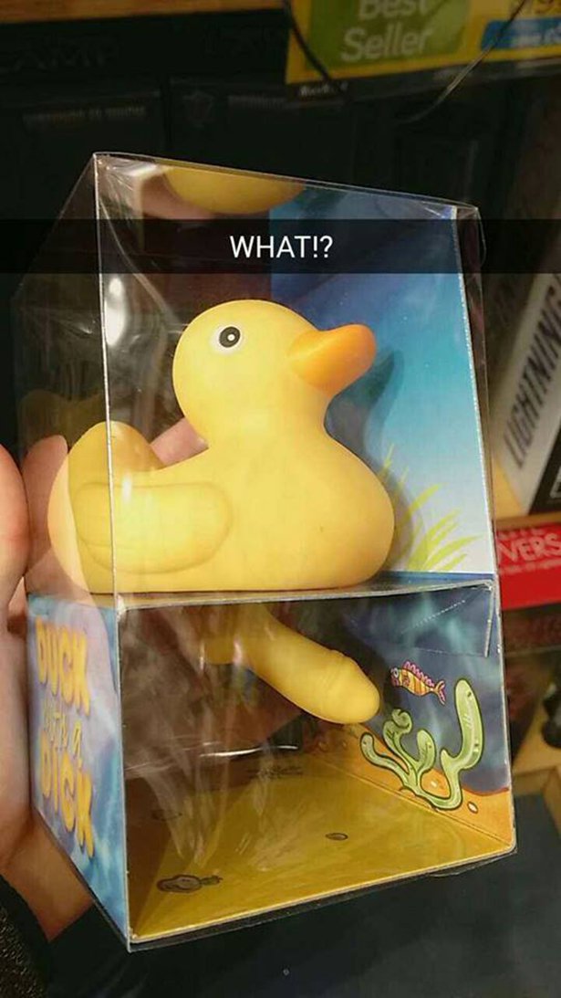 inappropriate ducks - Seller What!?