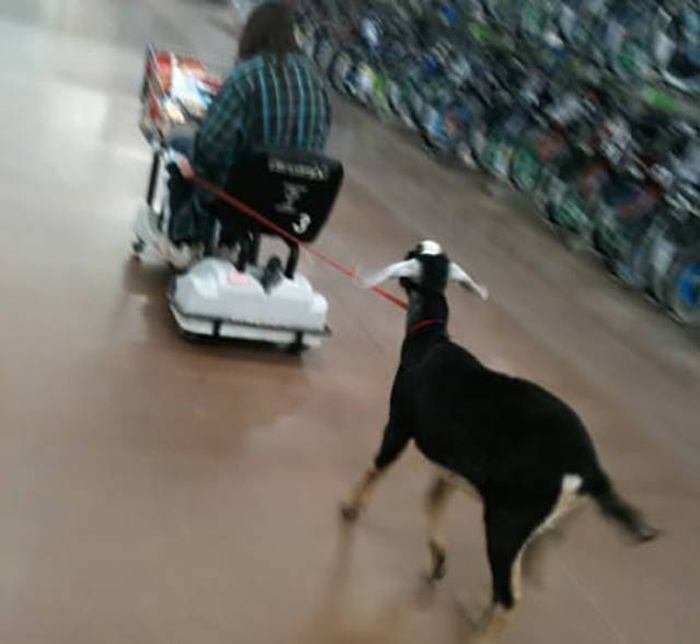 26 Wacky Walmart Wonders!