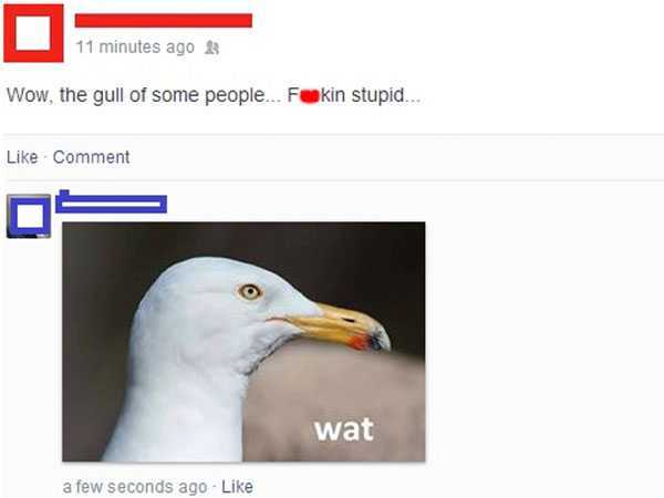 15 Funniest Facebook Fails!